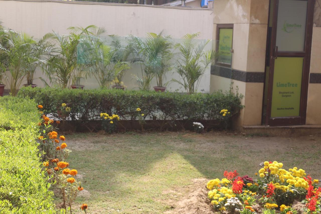 Lime Tree Hotel Sushant Lok Gurgaon Sector 29 Next To Iffco Chowk Metro Buitenkant foto